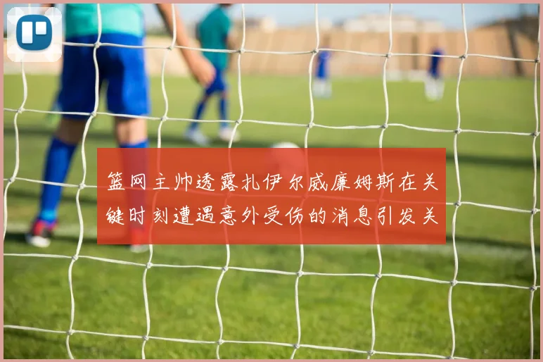 篮网主帅透露扎伊尔威廉姆斯在关键时刻遭遇意外受伤的消息引发关注