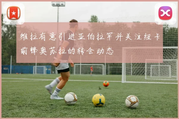 维拉有意引进亚伯拉罕并关注纽卡前锋奥苏拉的转会动态